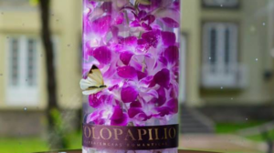 amor en purpura flores orquideas arreglo