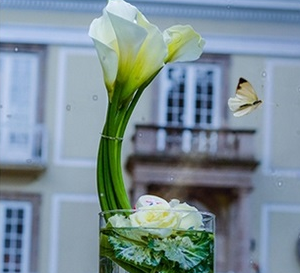 reflejo de alcatraces flores arreglo