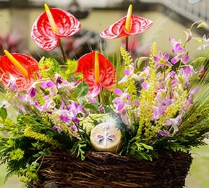 nido de anturios flores arreglo